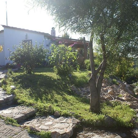 O Ioannis Villa Kritinia Bagian luar foto