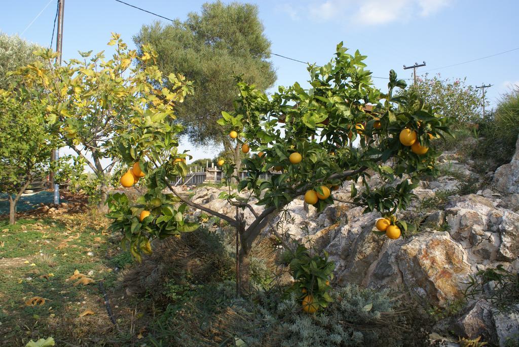 O Ioannis Villa Kritinia Bagian luar foto