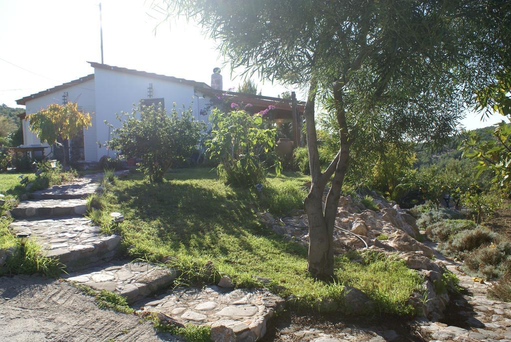 O Ioannis Villa Kritinia Bagian luar foto
