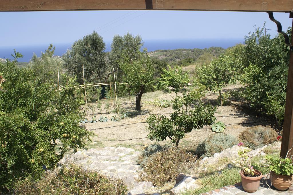 O Ioannis Villa Kritinia Bagian luar foto